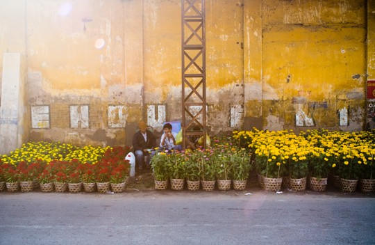 Đi bến Bình Đông rinh Tết về nhà